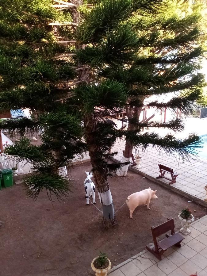 Anastasia Holiday Apartments Paphos Eksteriør bilde