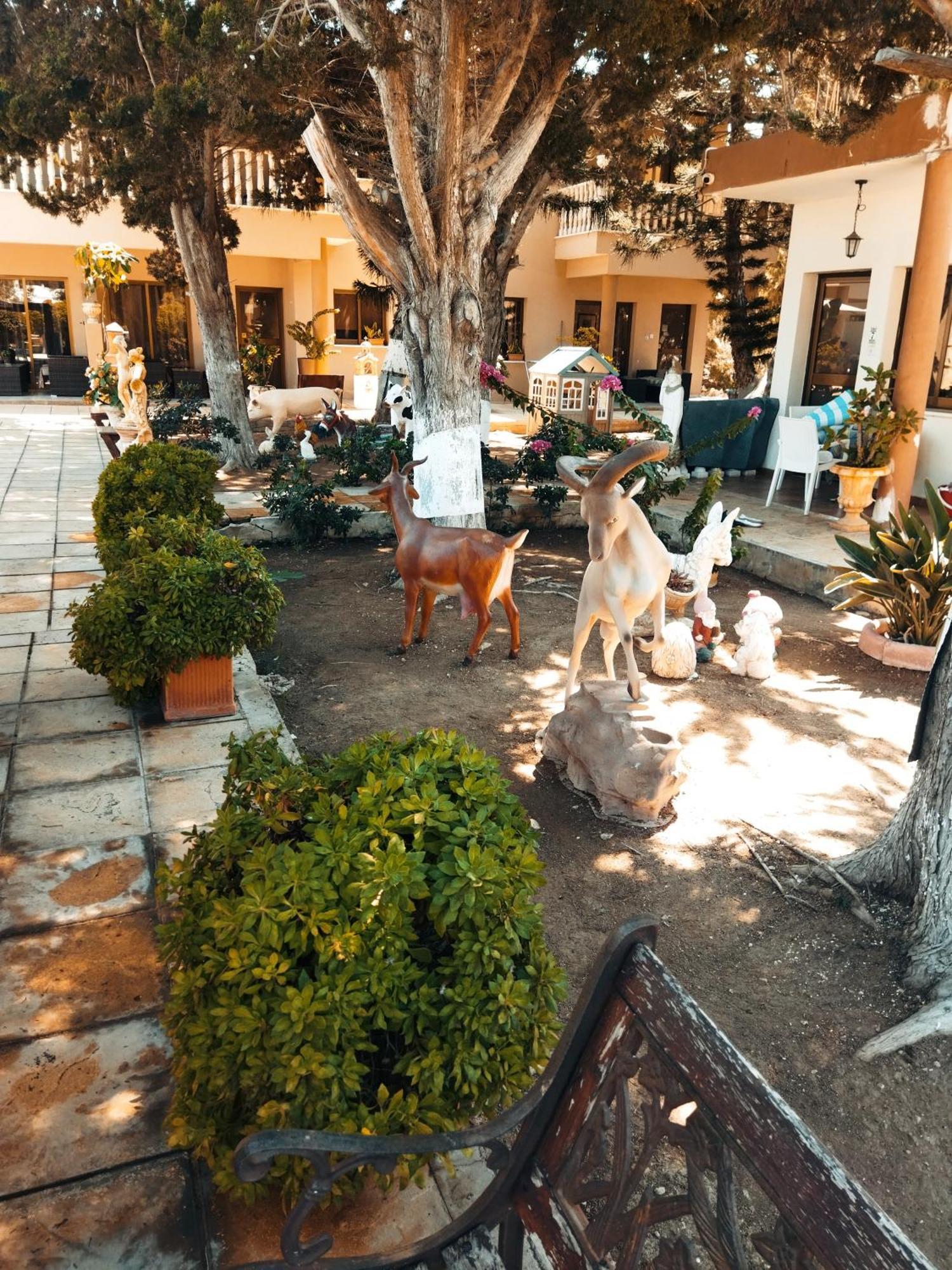Anastasia Holiday Apartments Paphos Eksteriør bilde